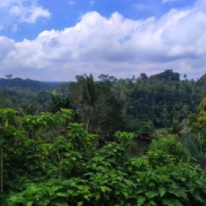 Bali sud, côte ouest : Kuta, Jimbaran et Uluwatu. Un juste milieu entre spiritualité des locaux et surtourisme 🫠.#bali #Indonesia